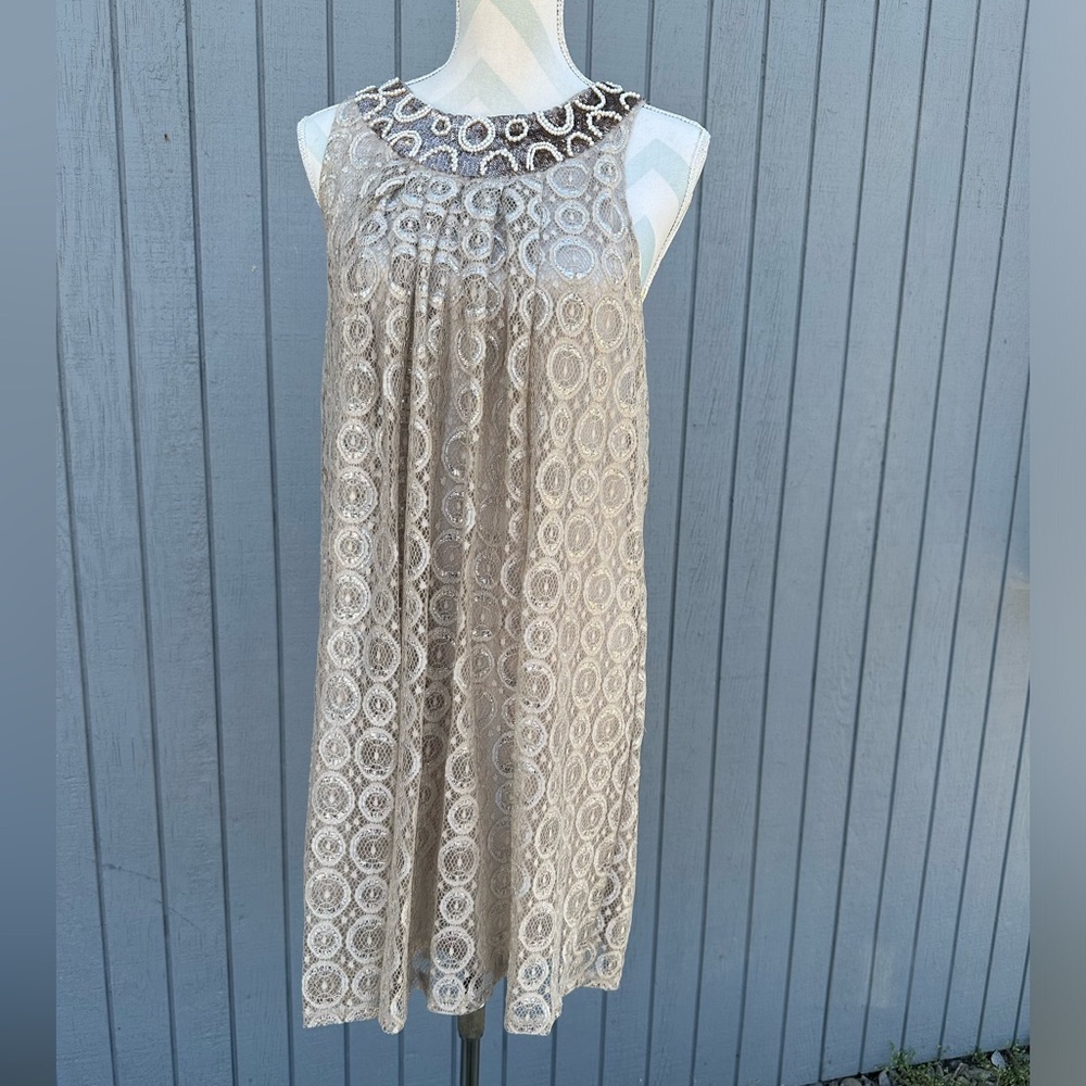 Alfani Taupe Lace Dress